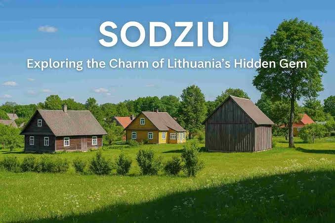 Origins of Sodziu