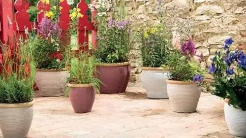 The Timeless Charm of Large Terracotta Flower Pots