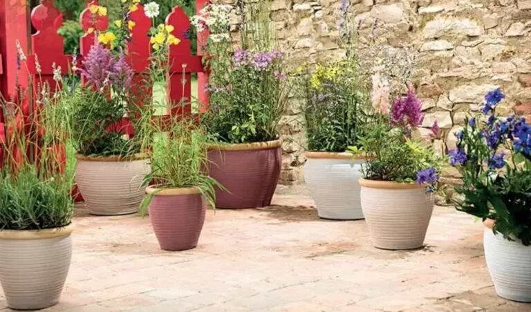 The Timeless Charm of Large Terracotta Flower Pots