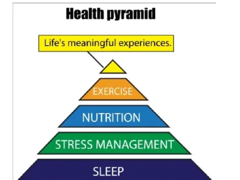The Health Triangle: A Timeless Guide to Balanced Well-Being