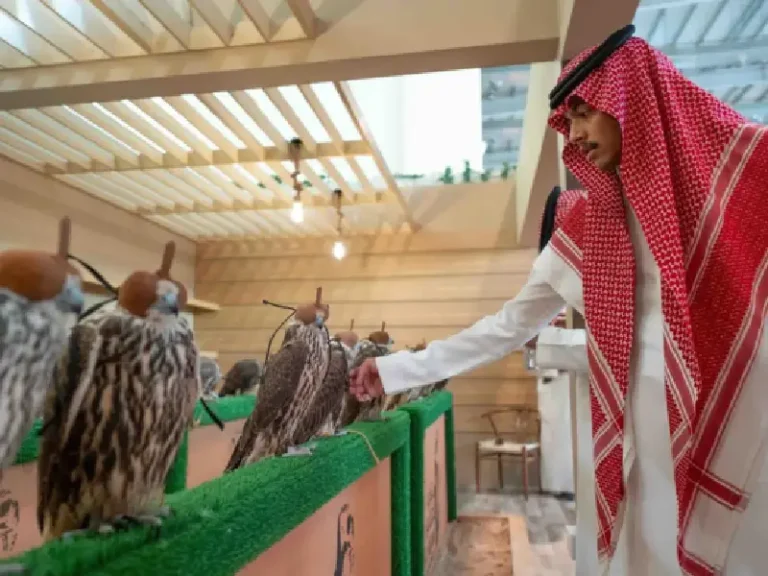 Falconry News