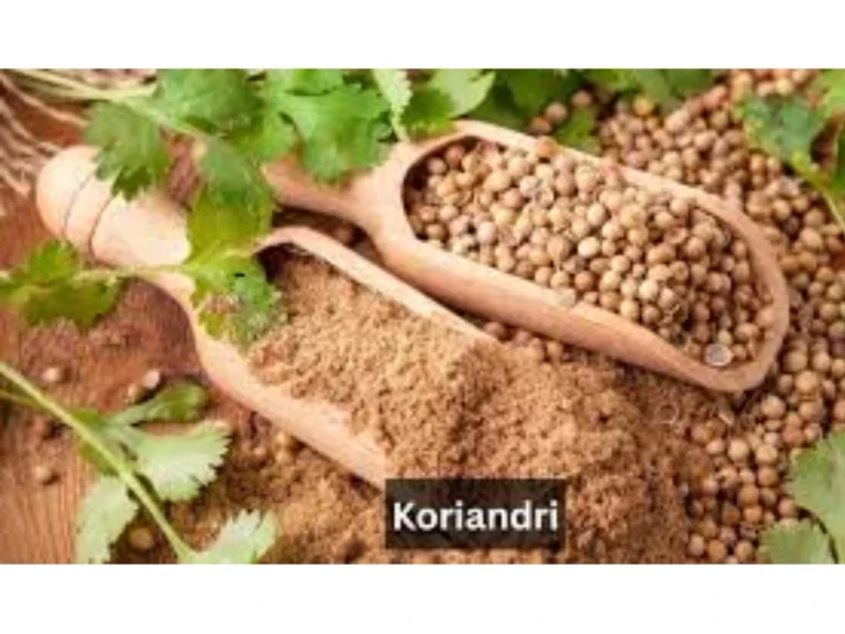 Koriandri