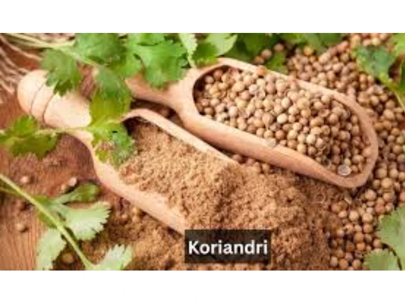 Koriandri