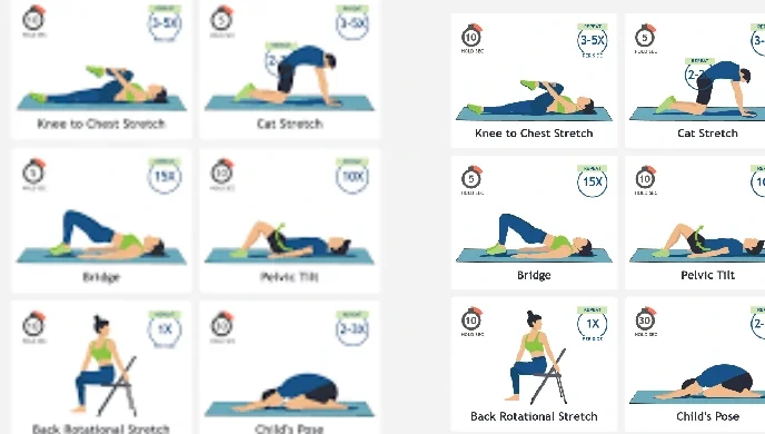 Lower Back Stretches